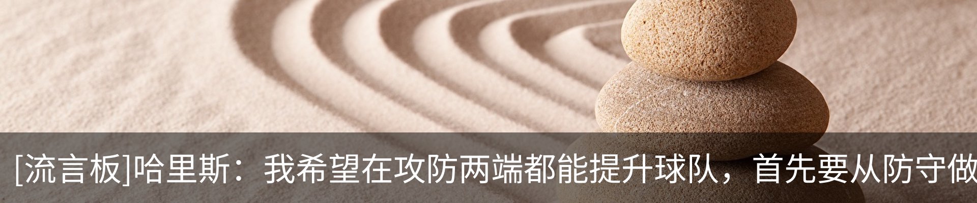 最新动态